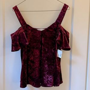 NWT - The Impeccable Pig Velvet Tank Top